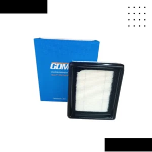 Filtro de Aire Discover125Duke200 GDM